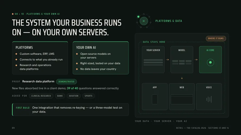 Slide 9, platforms and your own AI: your server, the model and the AI core inside a boundary marked “data stays here”, serving app, web and voice.